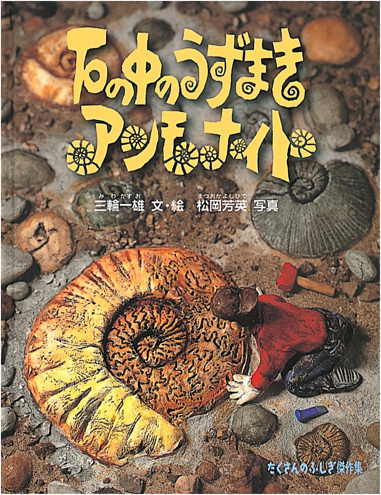 Swirls in Stone: Ammonites (Many Wonders Masterpiece Collection)