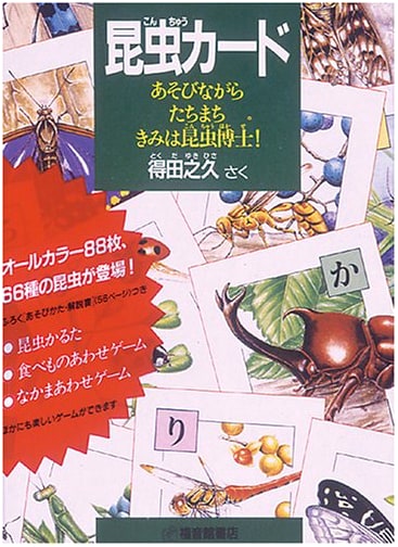 Insect Cards: Play Your Way to Becoming an Insect Expert! (Play Box Series)