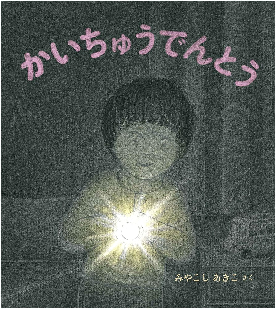 The Pocket Flashlight (Mysterious Seed Series Picture Book for Young Children)