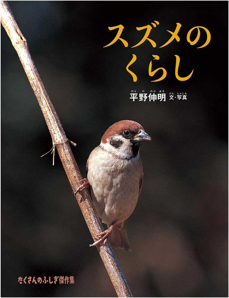 The Life of Sparrows (Many Mysteries Masterpiece Collection)