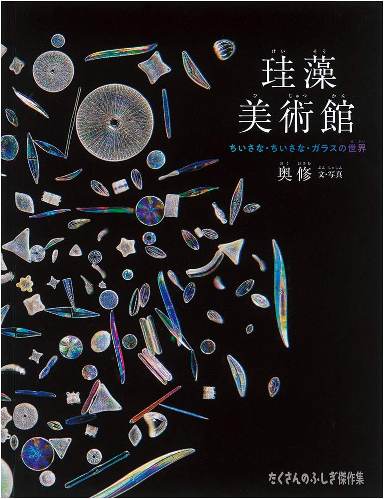 The Diatom Art Museum: A Tiny World of Glass