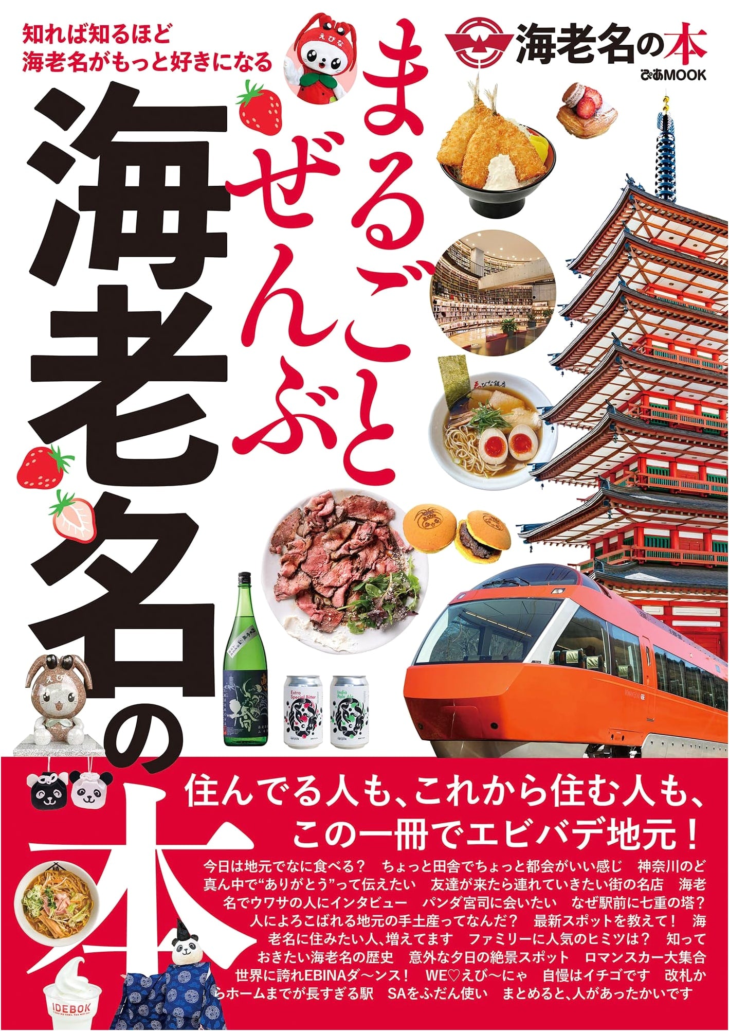 Everything About Ebina: Pia Mook Guidebook