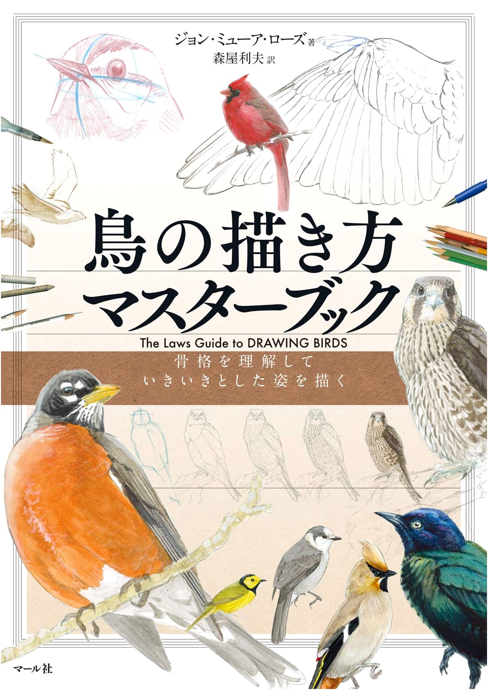 Master Book: How to Draw Birds