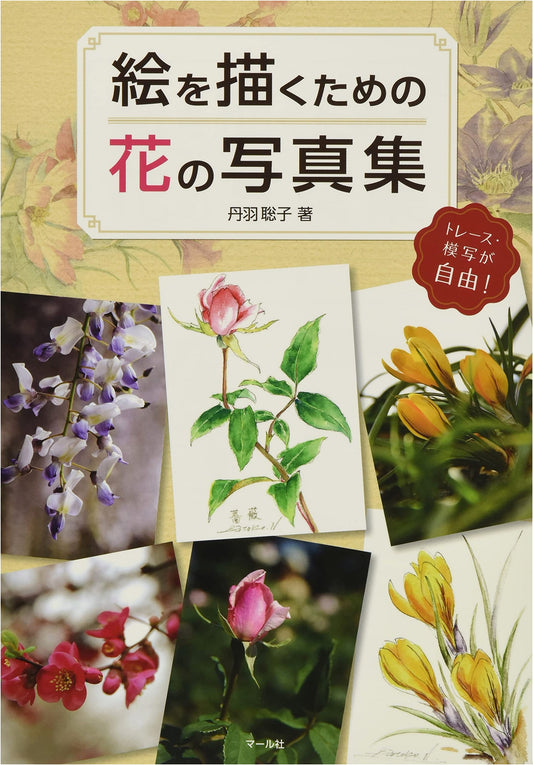Flower Photo Collection for Drawing