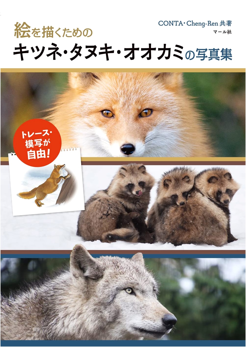 Photo Collection of Foxes, Raccoon Dogs, and Wolves for Artists
