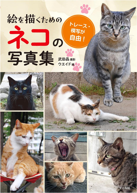 Photo Collection of Cats for Drawing