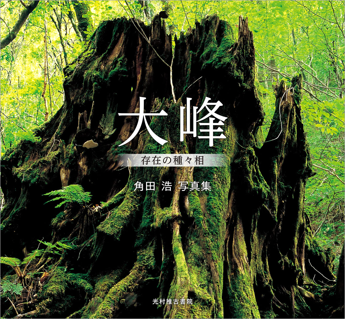Mount Omine: Aspects of Existence by Hiroshi Kakuda