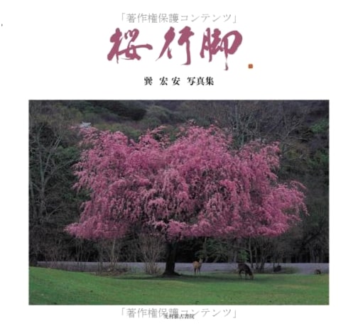 Cherry Blossom Pilgrimage: Photographs by Koan Tatsumi