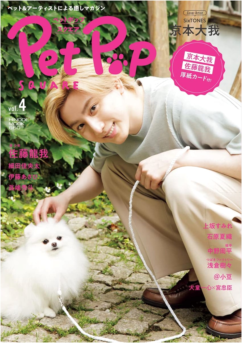 Pet Pop Square Vol. 4 [Cover: Taiga Kyomoto] (HINODE MOOK 660)