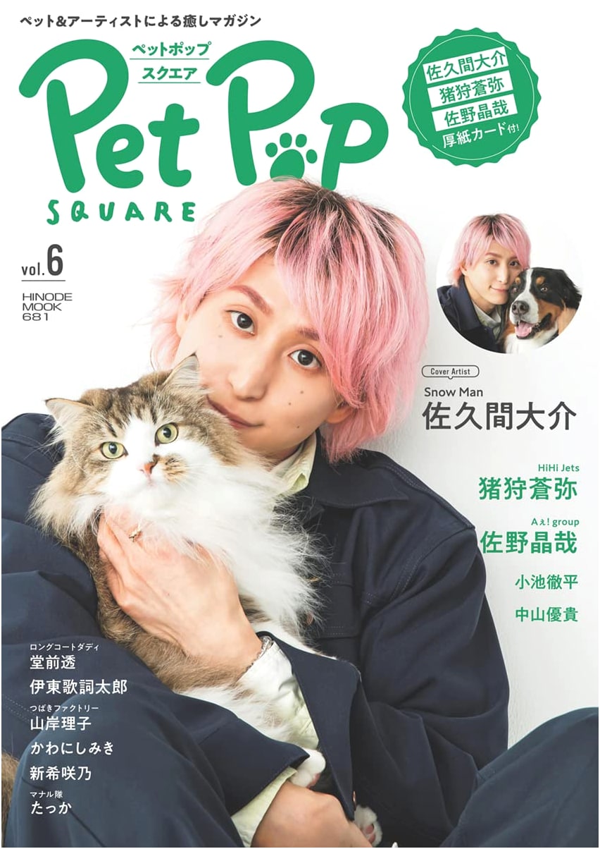 Pet Pop Square Vol. 6 [Cover: Daisuke Sakuma] (HINODE MOOK)