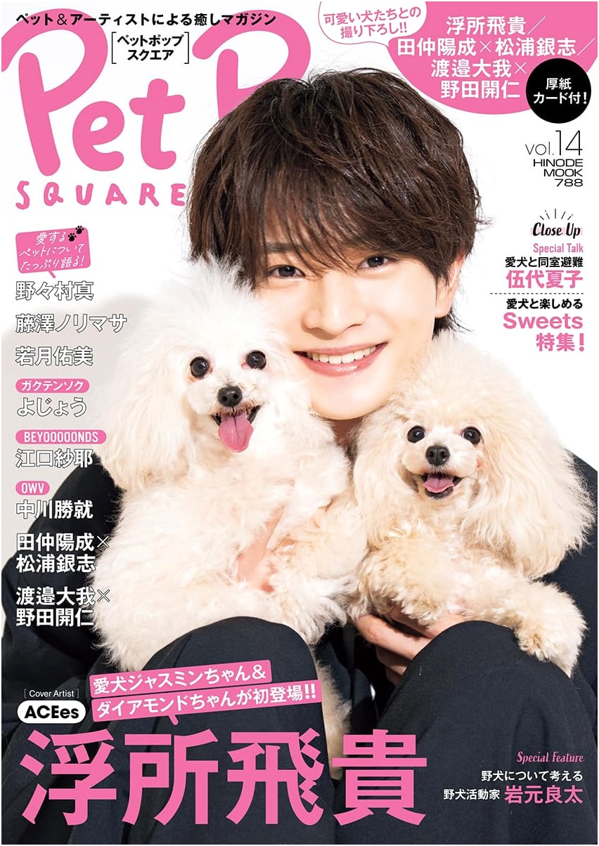 Pet Pop Square Vol. 14: Featuring Hidaka Ukisho (Hinode Mook 788)