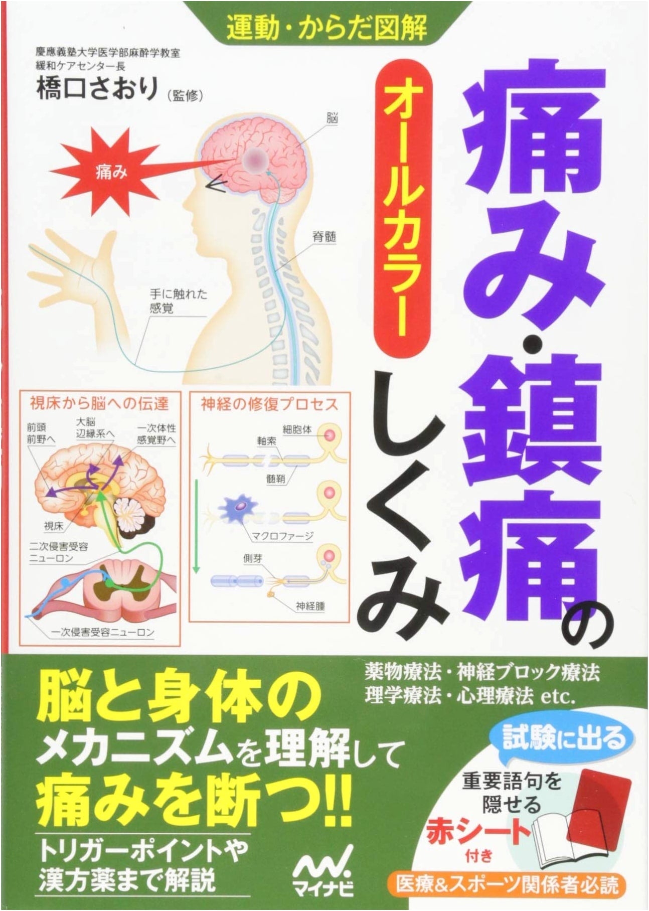Illustrated Guide to Movement & the Body: The Mechanisms of Pain and Pain Relief