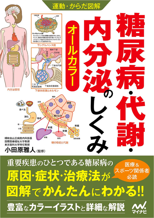 Illustrated Guide to Exercise & the Body: Mechanisms of Diabetes, Metabolism & Endocrine System