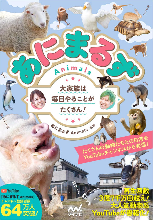 Animals: A Big Family Has Lots to Do Every Day!