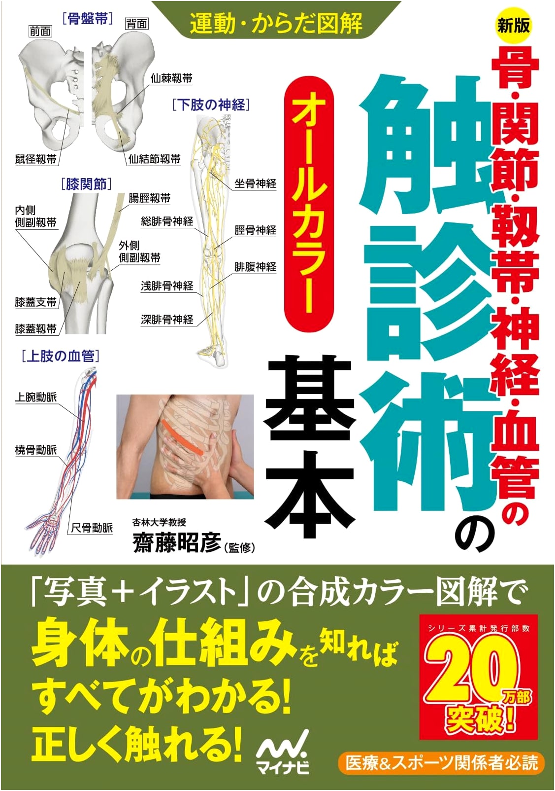 Illustrated Guide: Basic Palpation for Bones, Joints, Ligaments, Nerves, Vessels (New Edition)