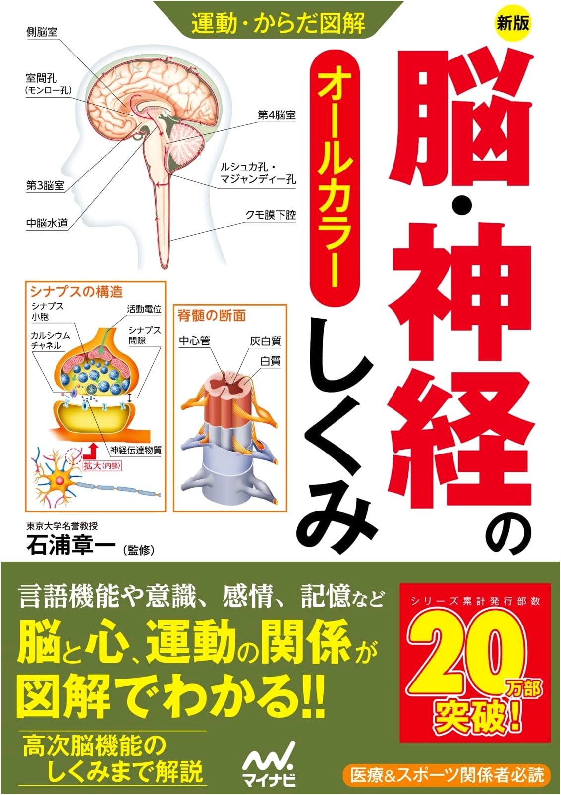 Understanding the Brain & Nervous System: An Illustrated Guide to Movement & Body Mechanics (New Edition)
