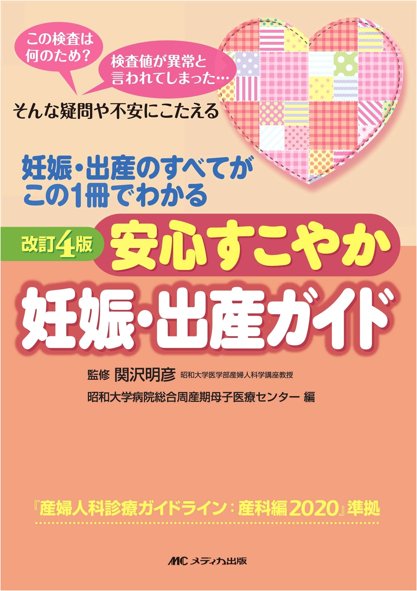 Safe and Healthy Pregnancy & Childbirth Guide, Revised 4th Edition