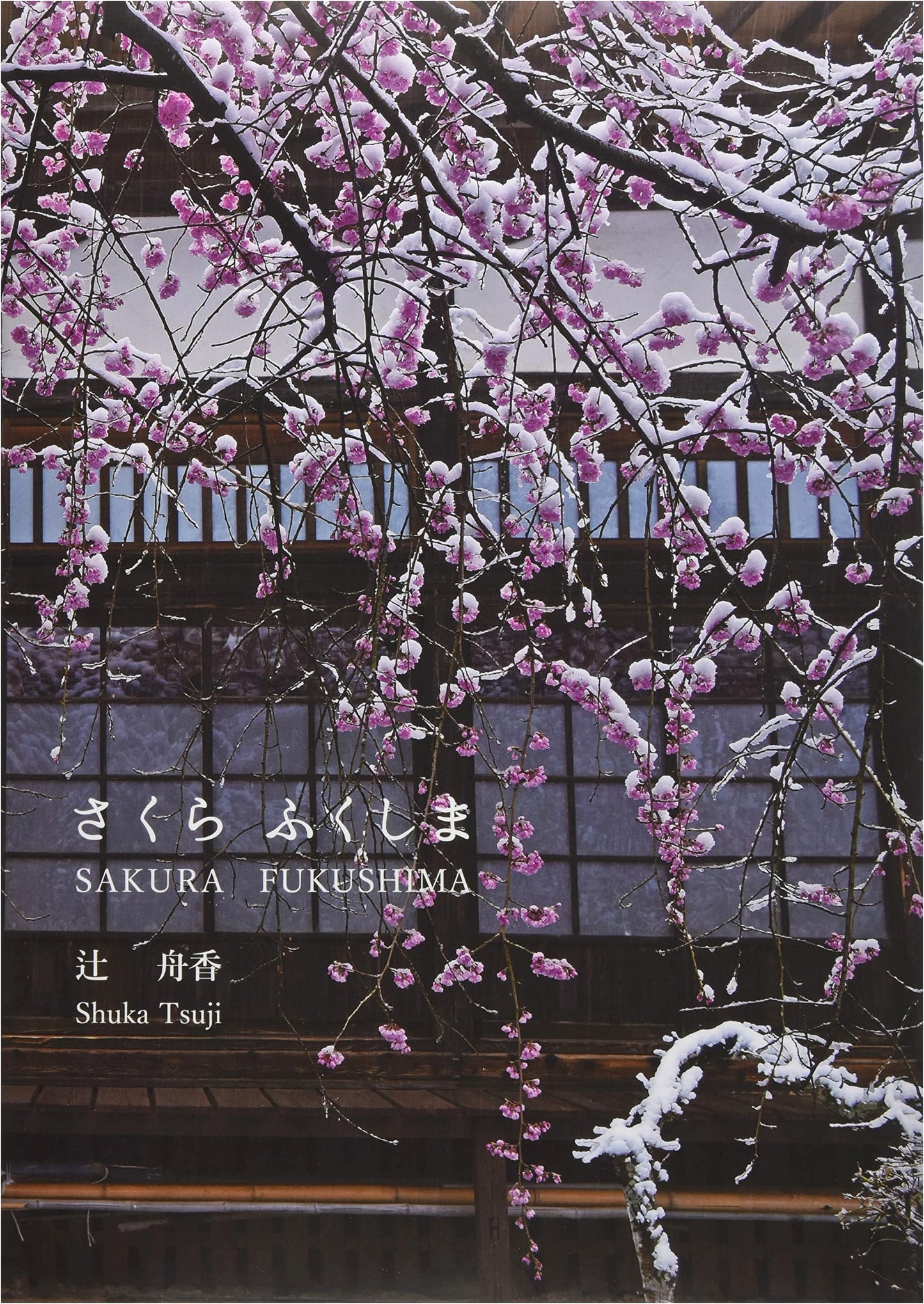 Sakura Fukushima by Tsui, Funaka