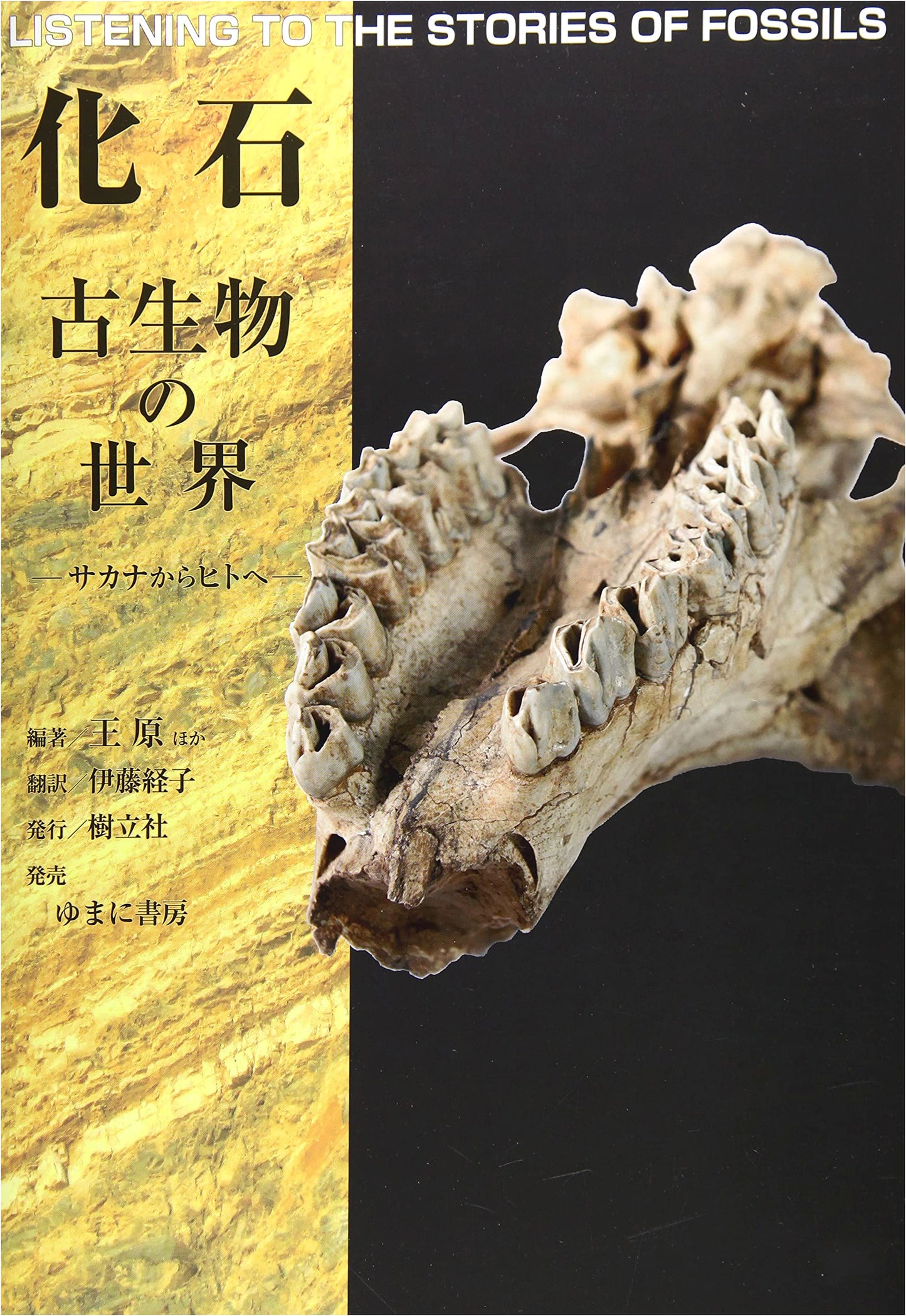 The World of Fossils and Ancient Creatures: From Fish to Human