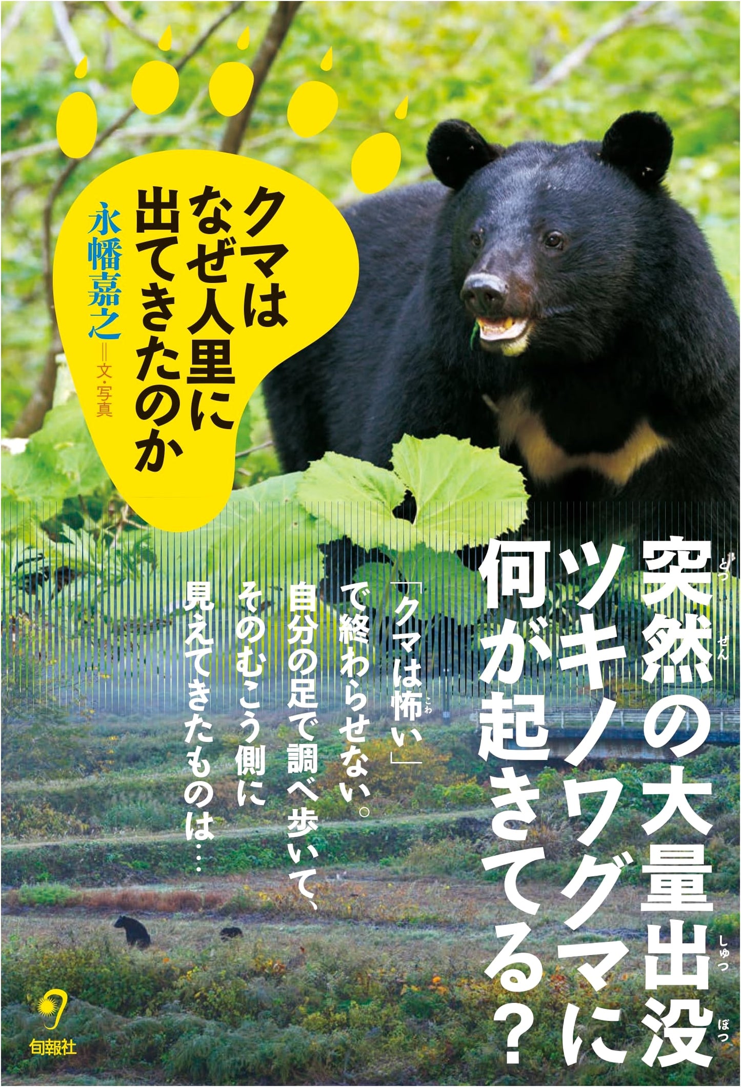 Why Did Bears Venture into Human Habitats?