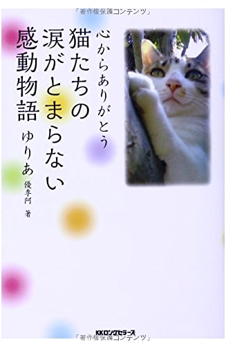 A Heartfelt Thank You: Touching Stories of Cats Whose Tears Won't Stop