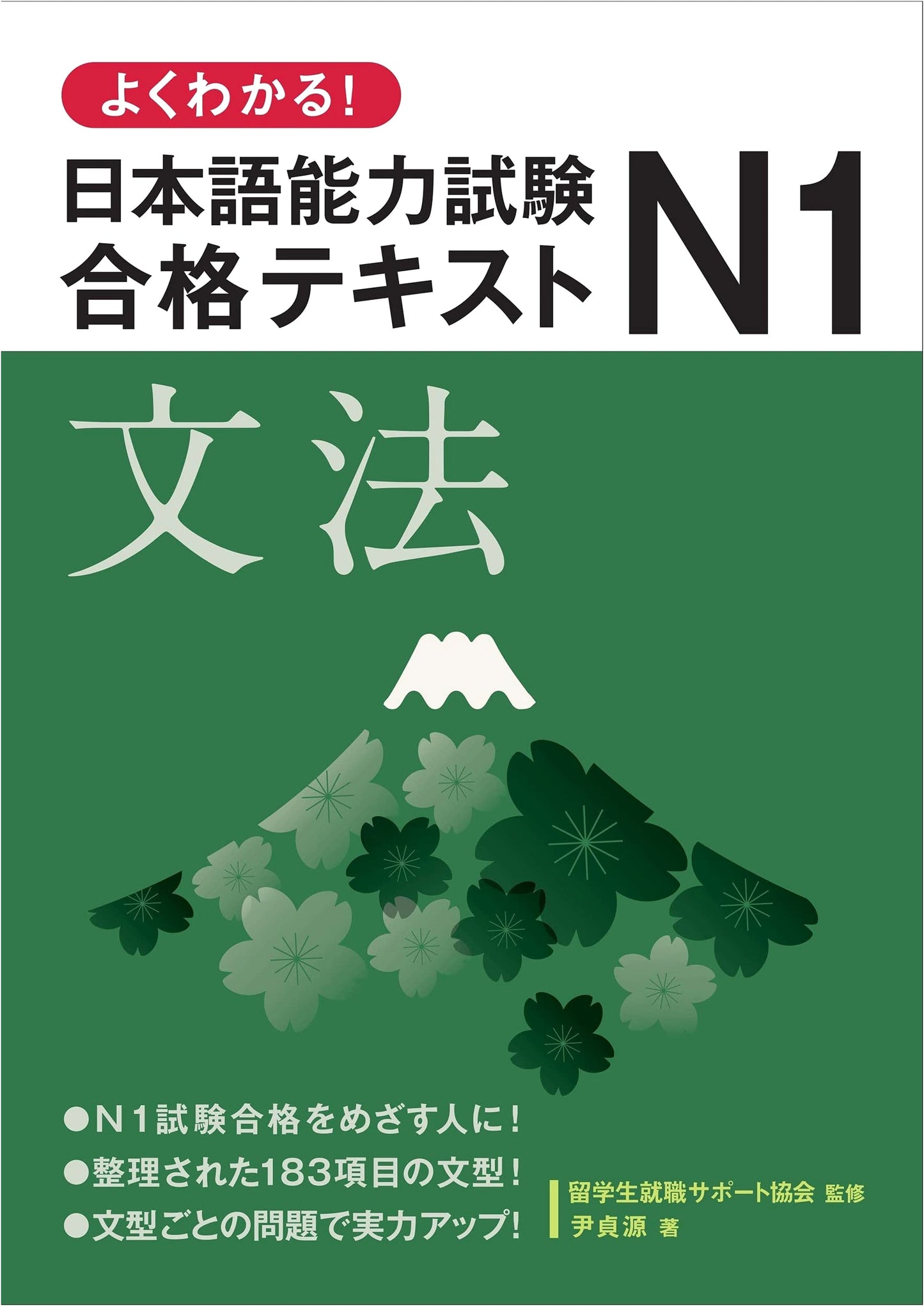 Easy-to-Understand! JLPT N1 Grammar Success Textbook