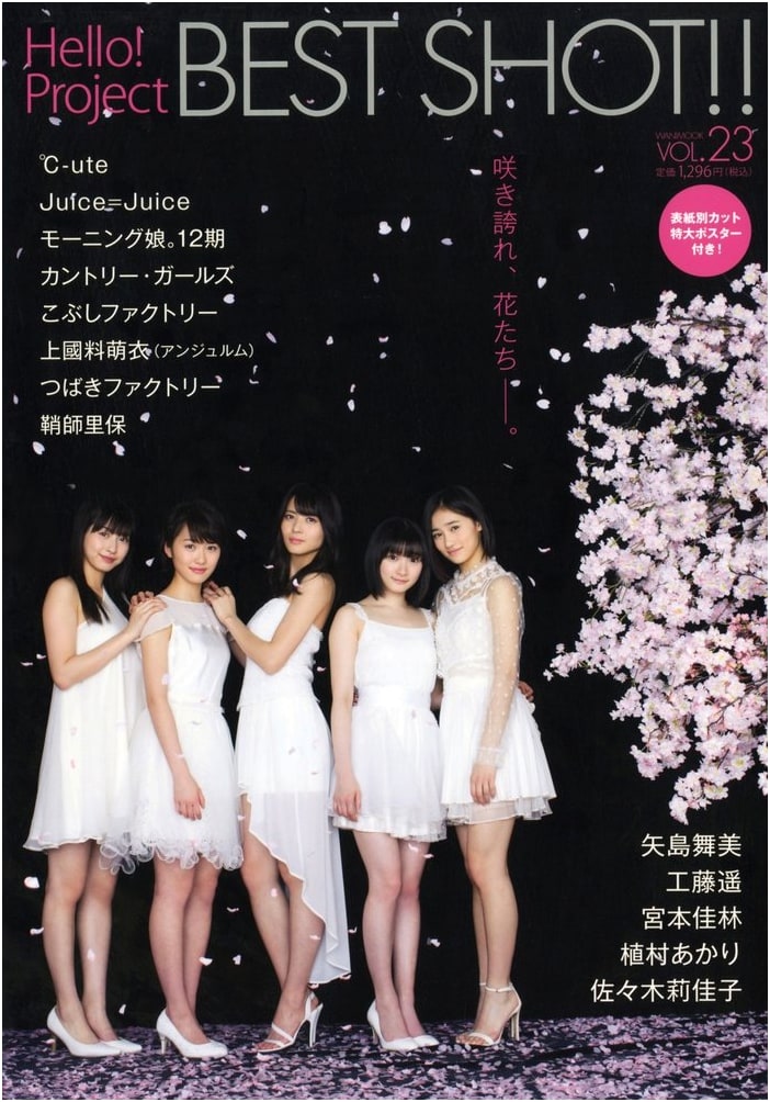 Hello! Project BEST SHOT!! Vol. 23 (Wani Mook Series 225)