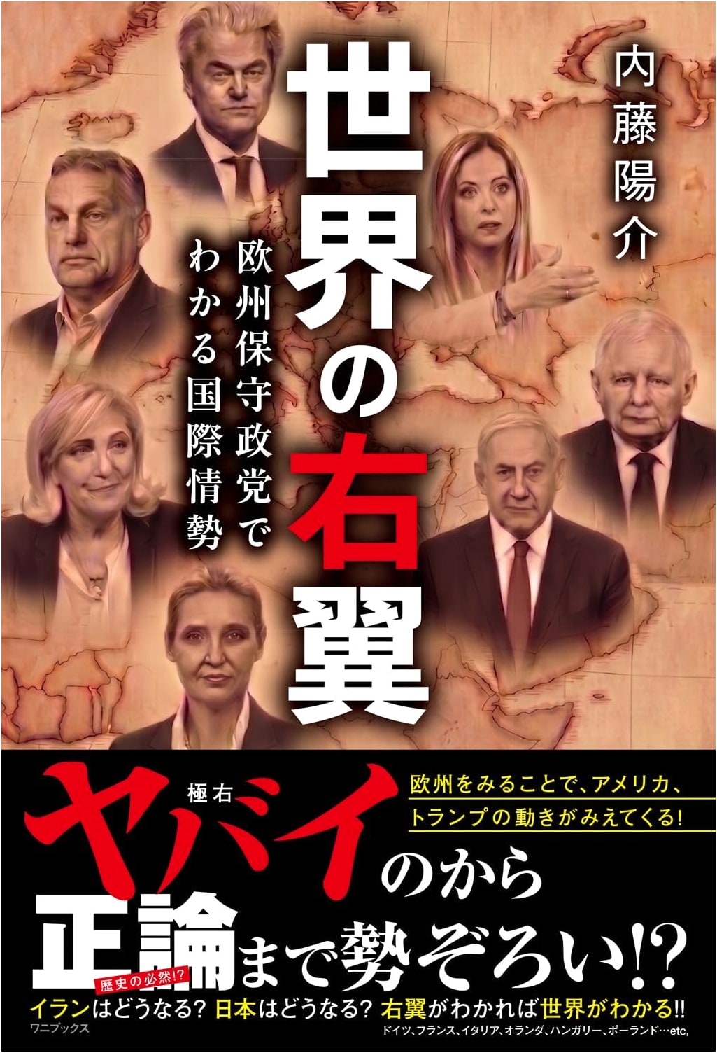The World's Right Wing: Understanding Global Affairs Through European Conservative Parties by Yosuke Naito