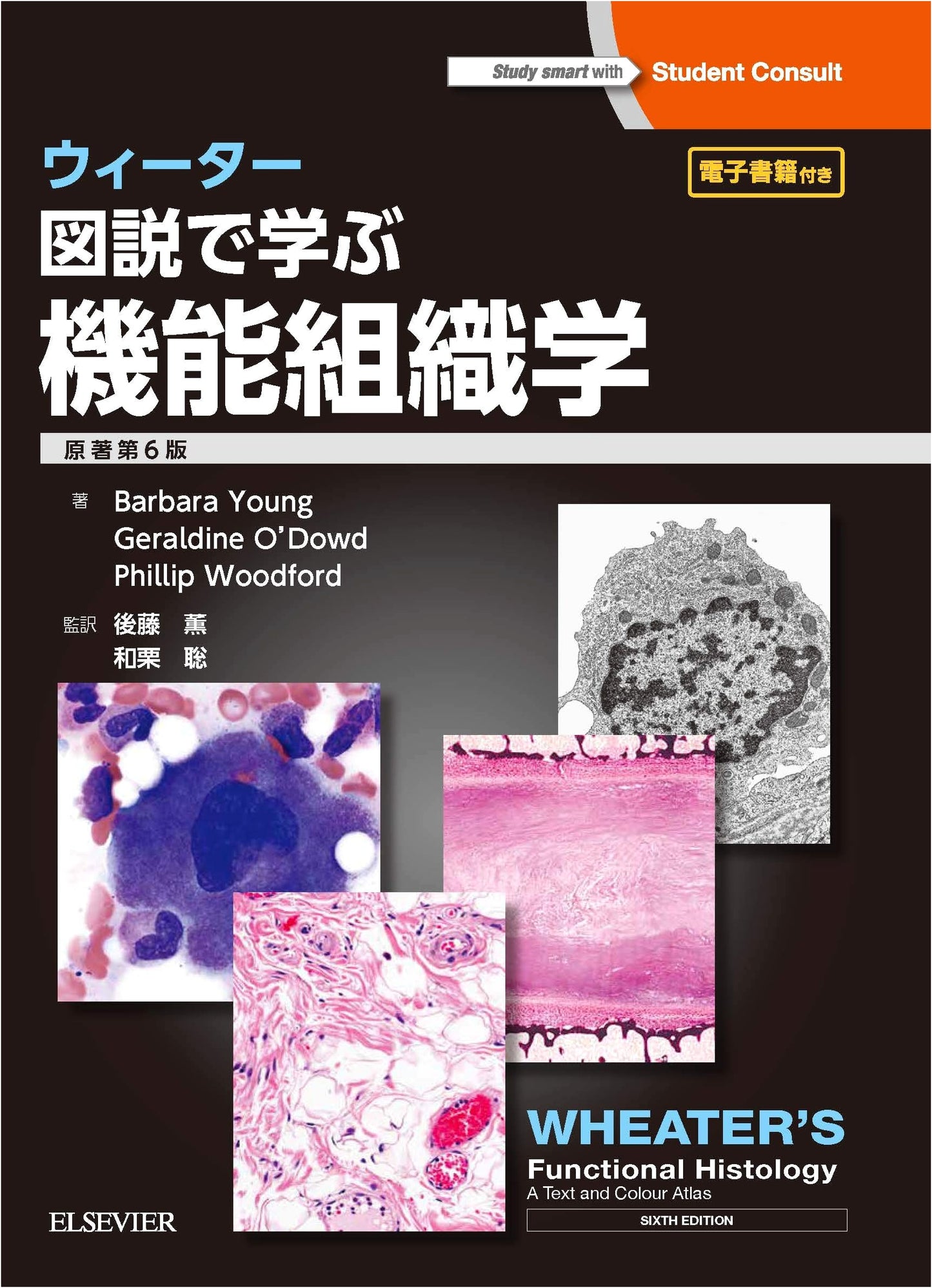 Wheater's Functional Histology: A Text and Atlas, 6th Edition