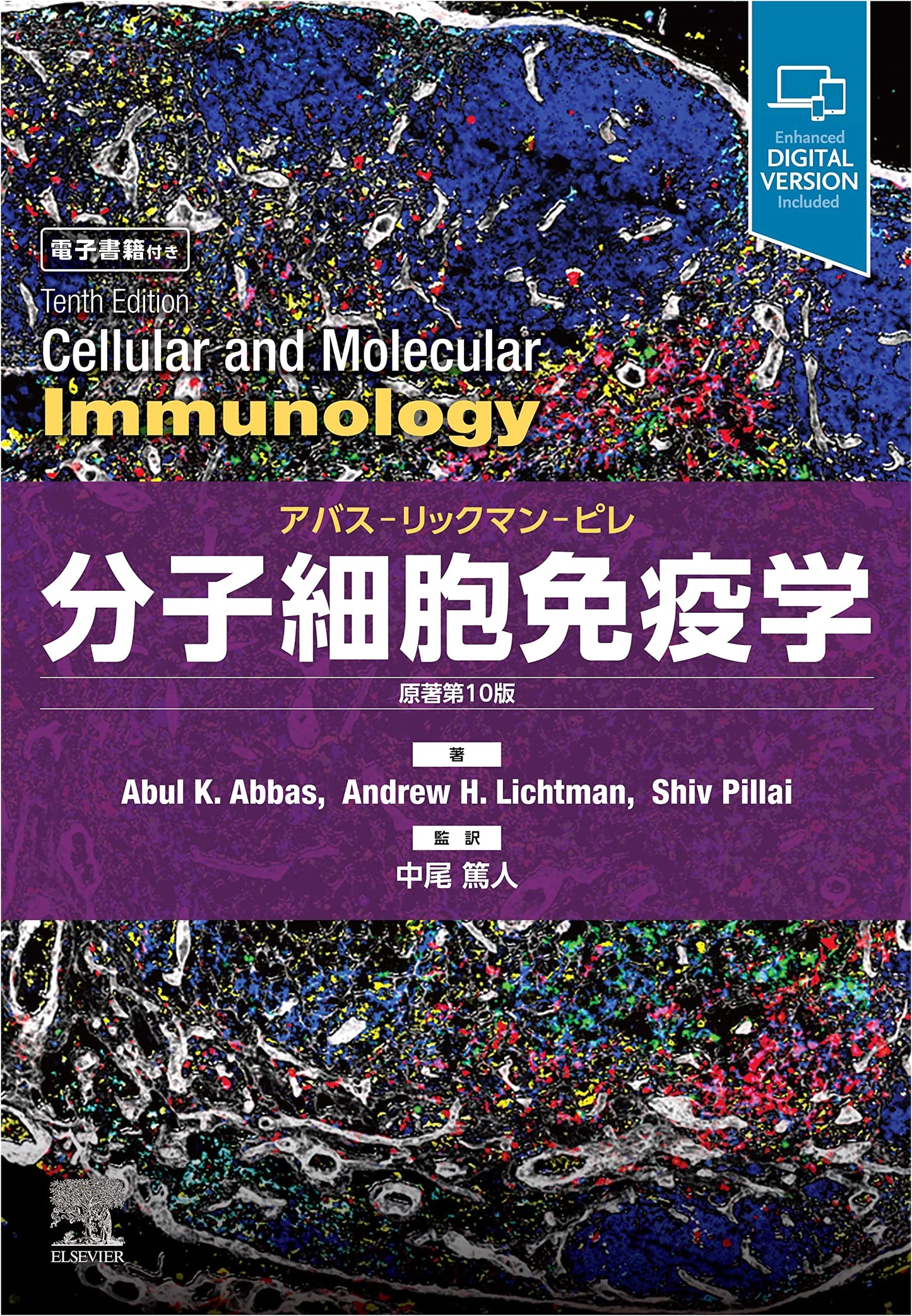 Molecular and Cellular Immunology: Tenth Edition by Abbas, Lichtman, and Pillai