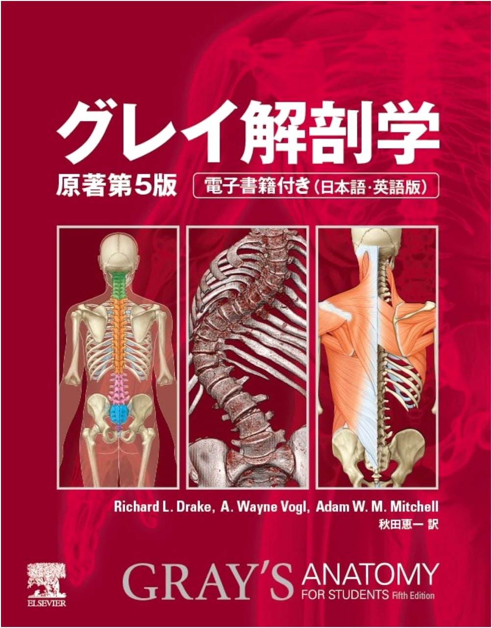 Gray's Anatomy: Original 5th Edition