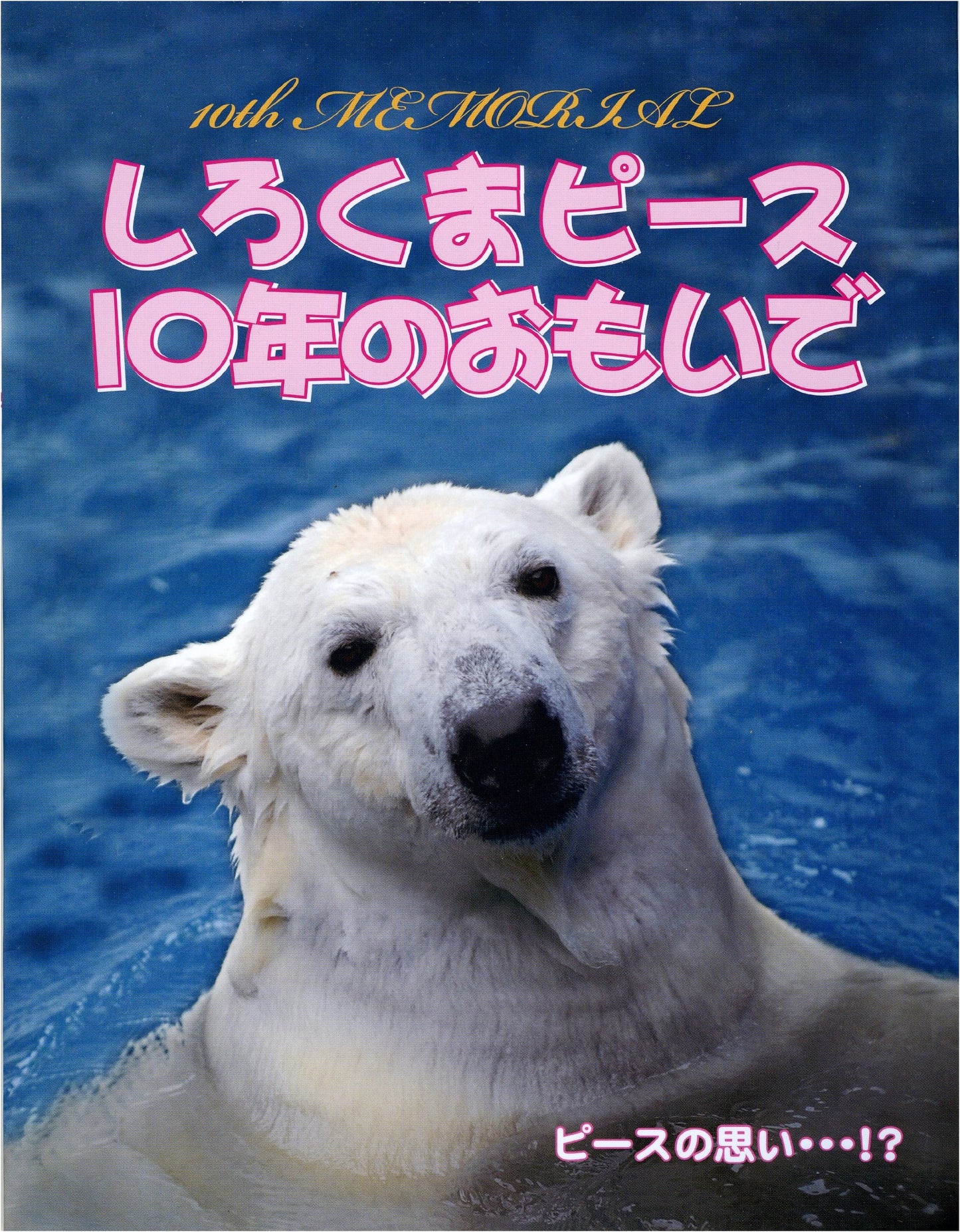 Shirokuma Peace: 10 Years of Memories