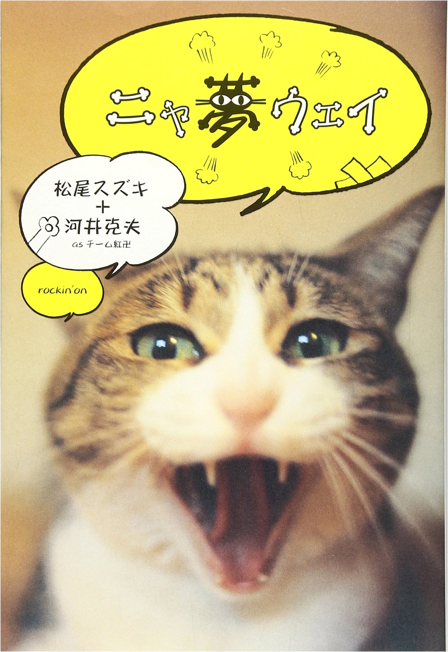 Nya Yume Wei: A Rockin'On Perspective on New Wave Music