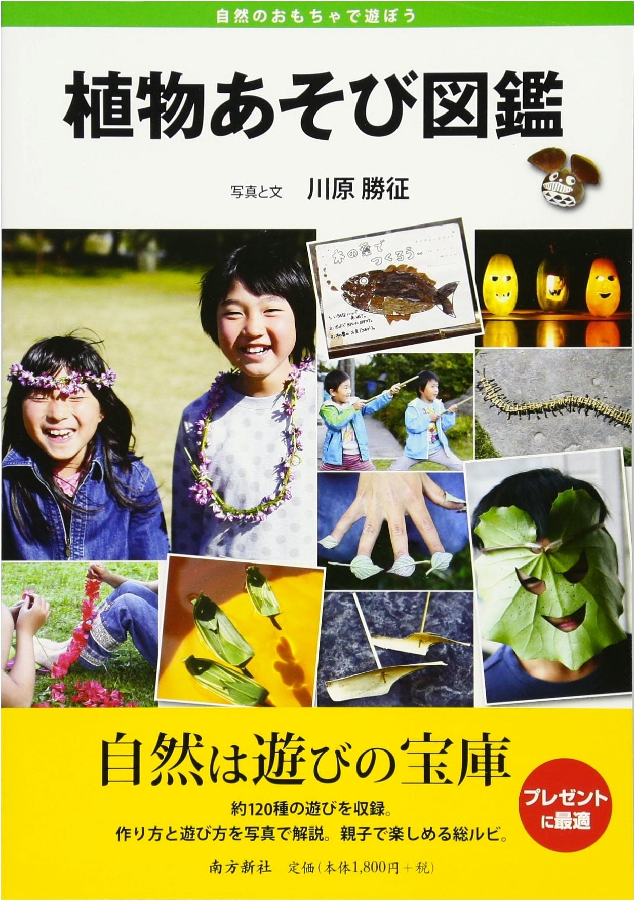 Illustrated Guide to Plant Activities & Play: A Nature Handbook