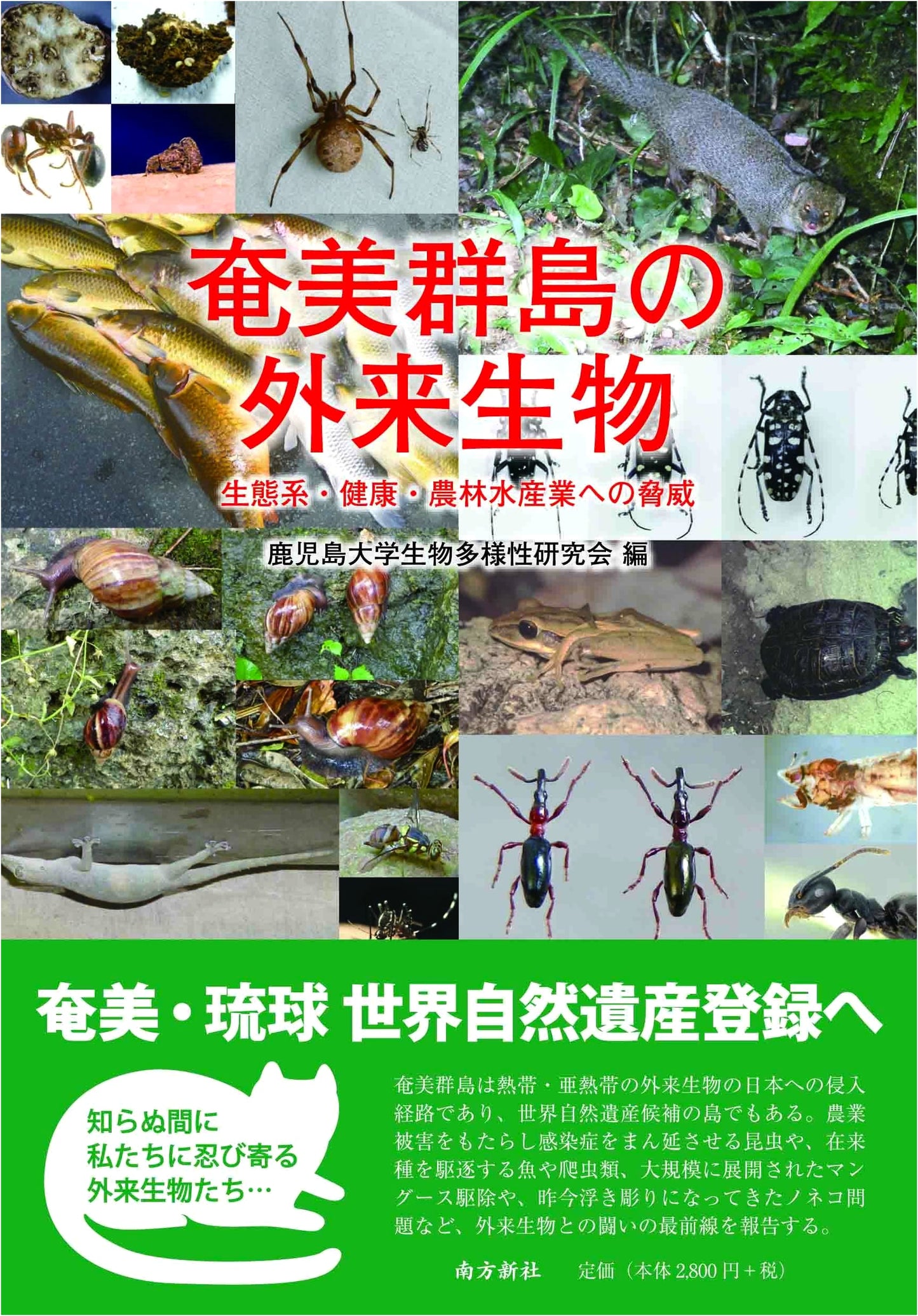 Invasive Species of the Amami Islands: Threats to Ecosystems, Health, and Industries