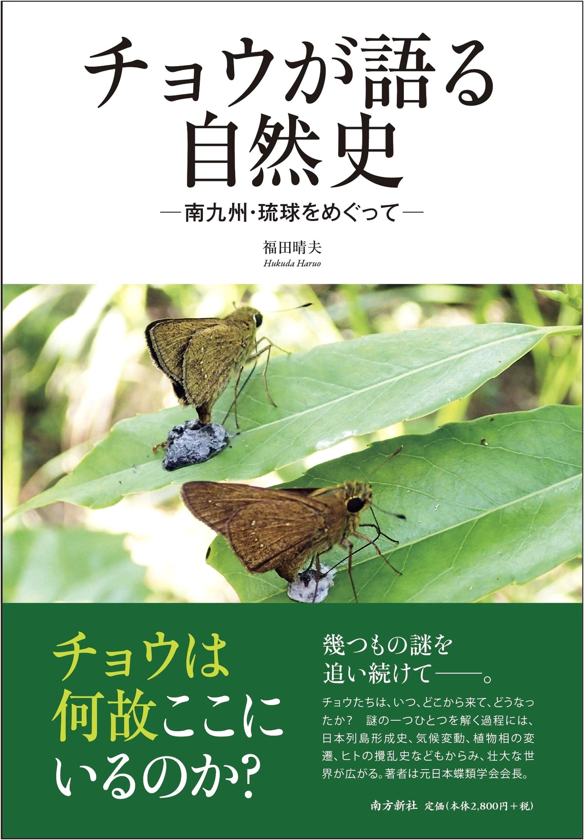 A Butterfly's Natural History: Exploring Southern Kyushu and Ryukyu