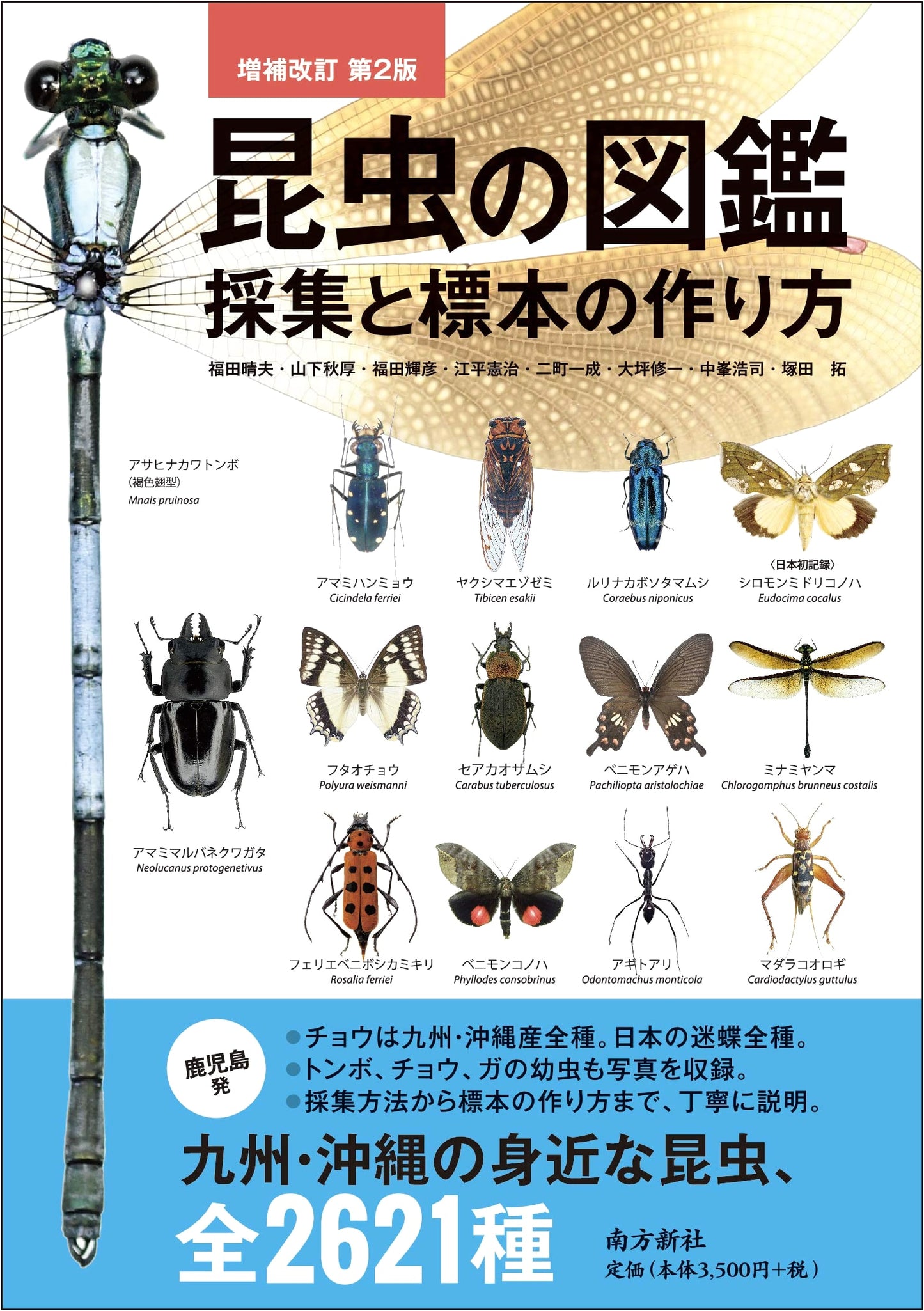 Insects Encyclopedia: Collection & Specimen Creation - Revised 2nd Edition