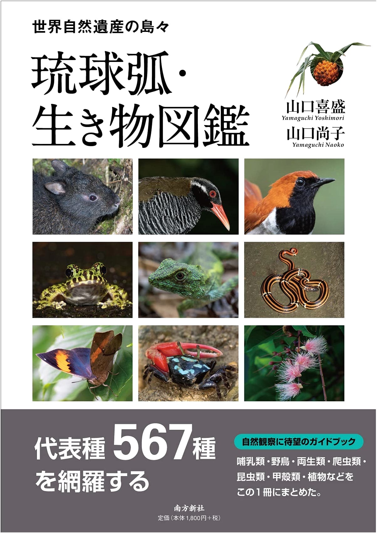 Illustrated Guide to the Wildlife of the Ryukyu Archipelago