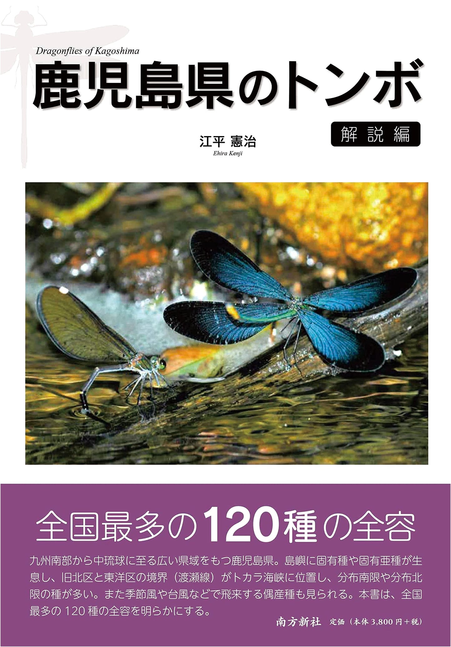 Dragonflies of Kagoshima Prefecture: An Explanatory Guide