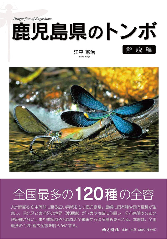 Dragonflies of Kagoshima Prefecture: An Explanatory Guide