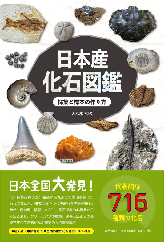 Illustrated Guide to Japanese Fossils: Collection and Specimen Preparation