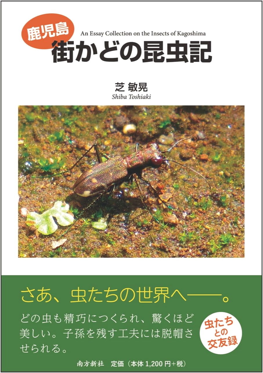 Kagoshima's Street Corner Insect Chronicles