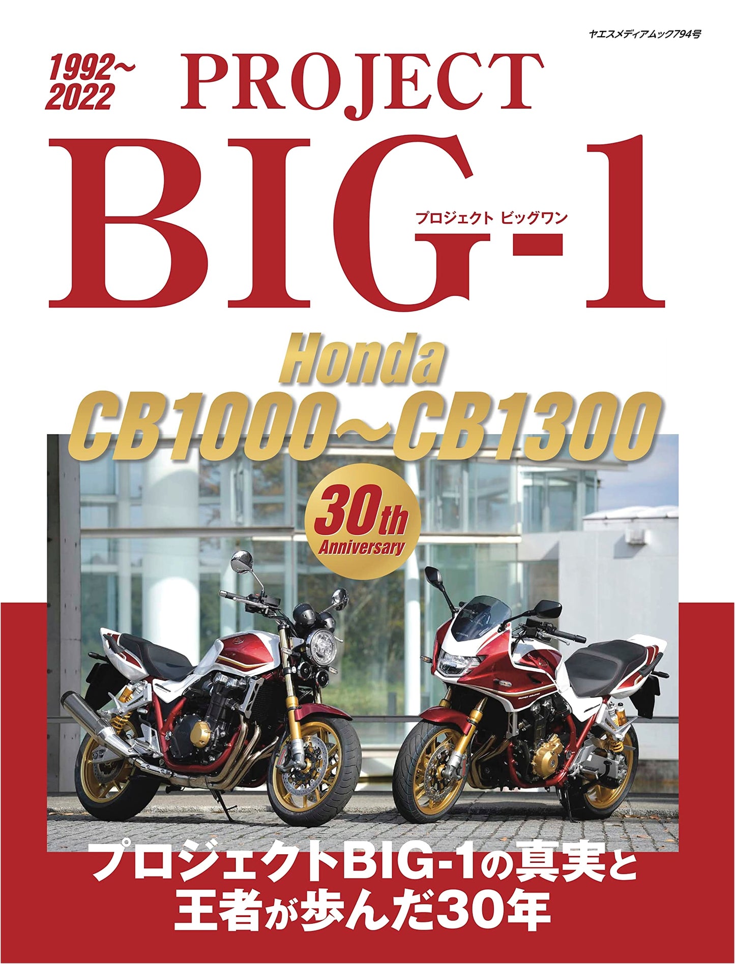 Project Big-1: Honda CB1000-CB1300 30th Anniversary