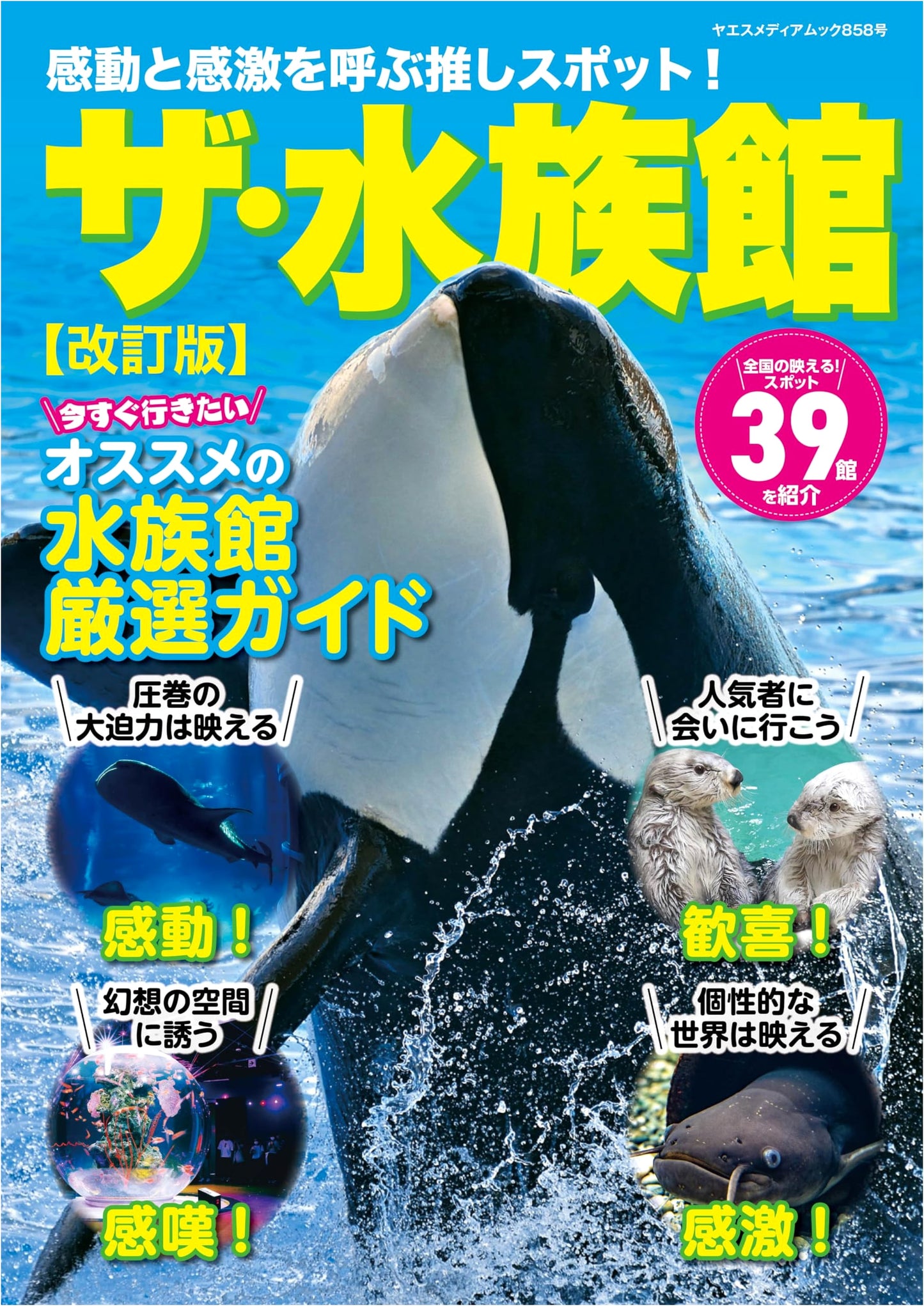 The Aquarium: Must-Visit Spots That Evoke Deep Emotion! Revised Edition