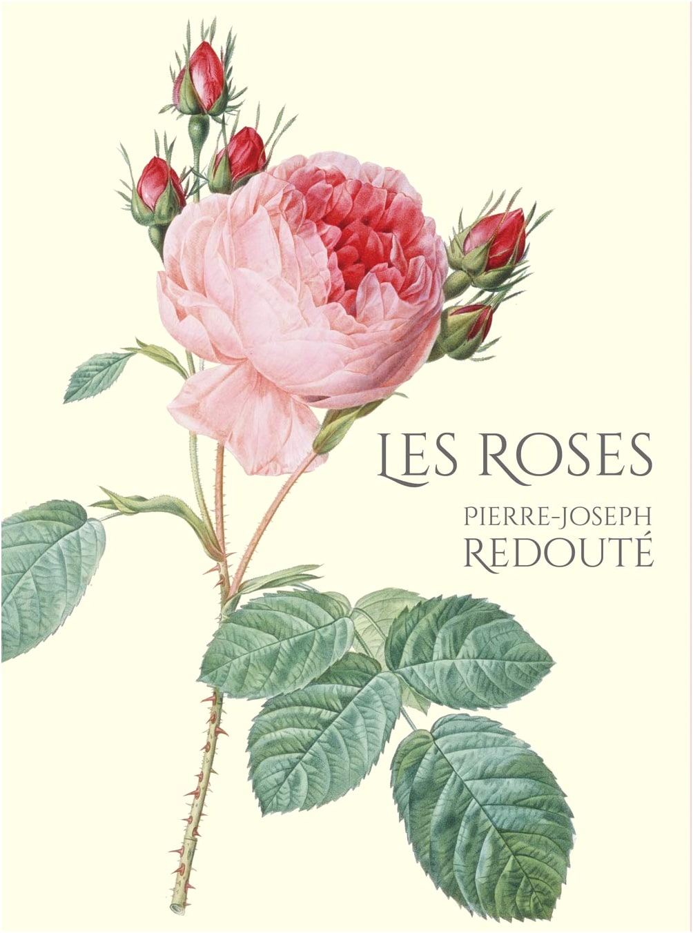 Deluxe Collector's Edition: Les Roses - The Rose Book