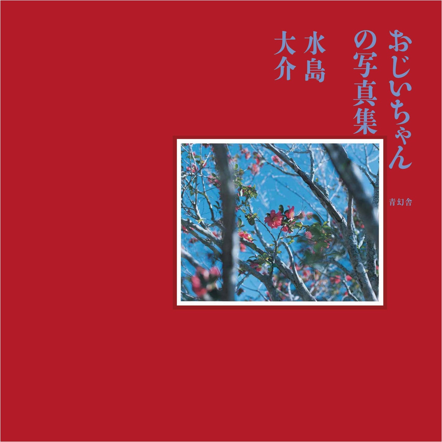 Grandfather's Photo Album by Daisuke Mizushima