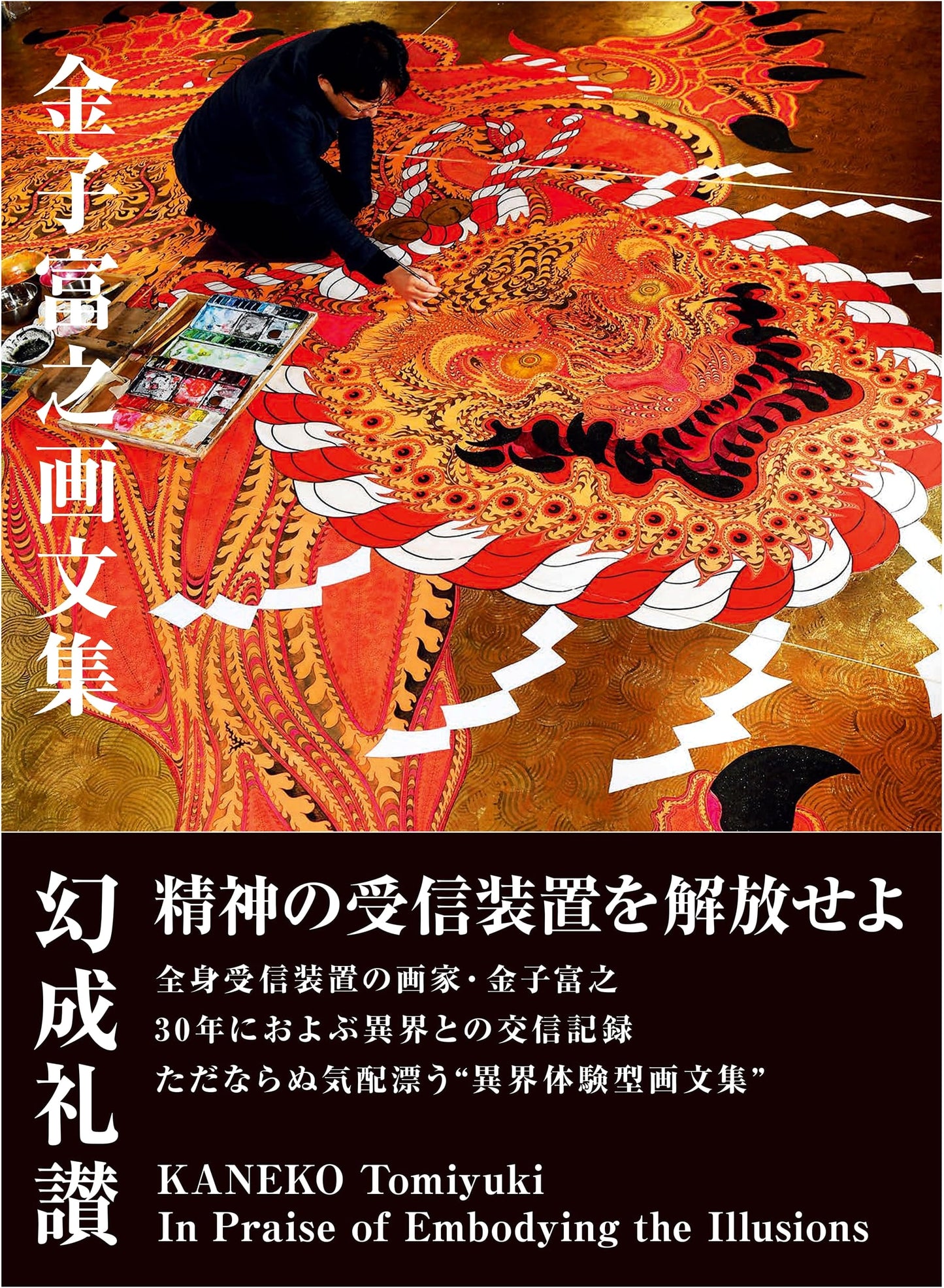 In Praise of Illusions: Art and Prose by Tomiyuki Kaneko