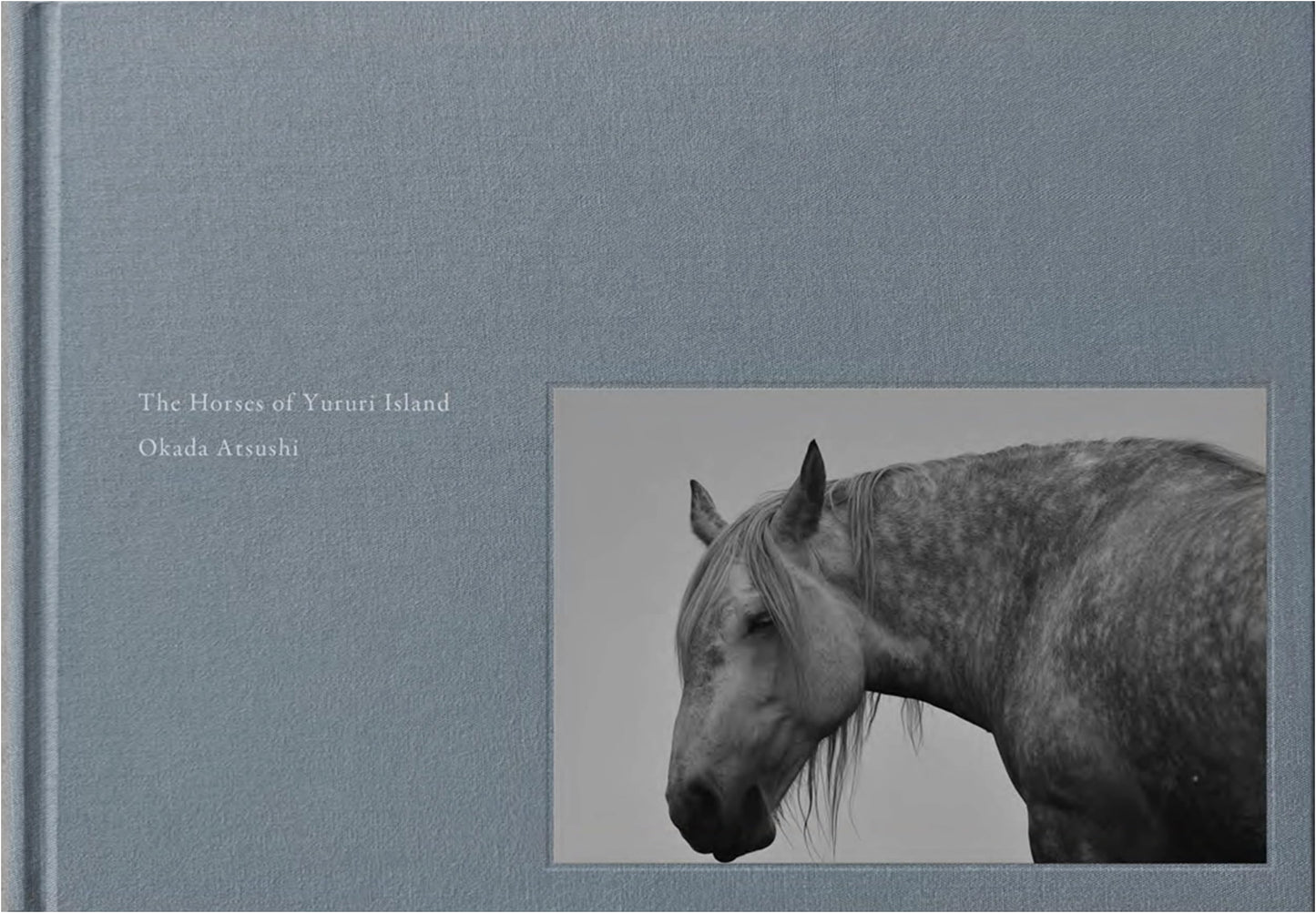 The Horses of Yururi Island