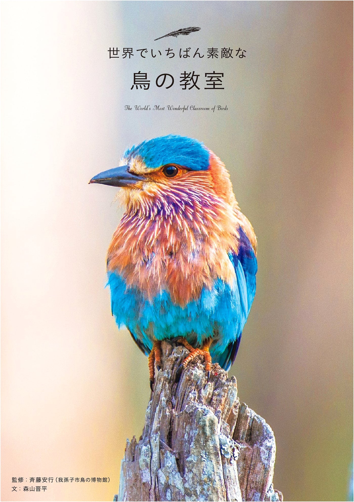 The World's Most Wonderful Bird Classroom