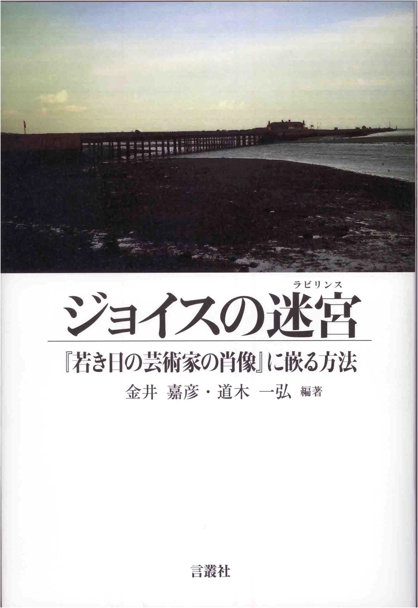 Joyce's Labyrinth: How to Immerse in A Portrait of the Artist (Japanese James Joyce Studies)